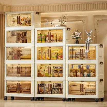 Foldable Storage Box with Clear Door